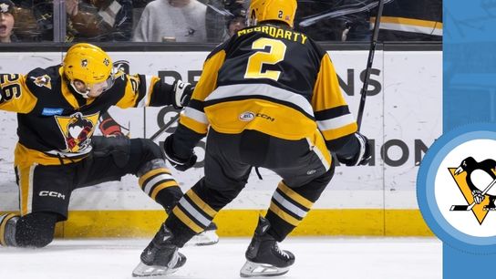 AHL: Wilkes-Barre roars into semi taken in Toronto